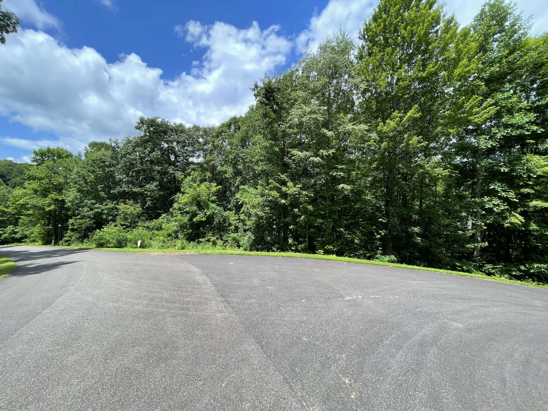 Image number 6 for the current listing